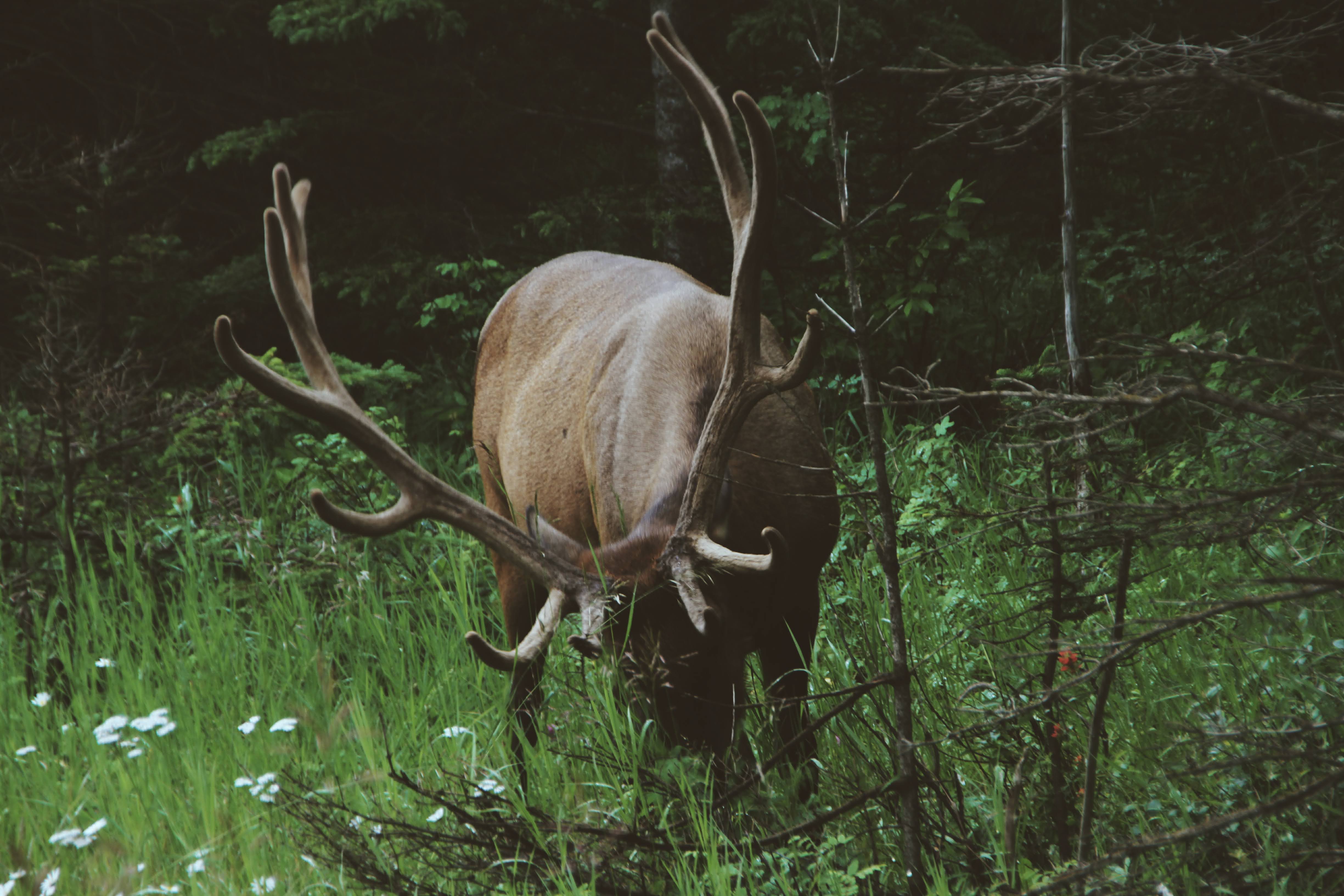 Canada and New York 2011 46